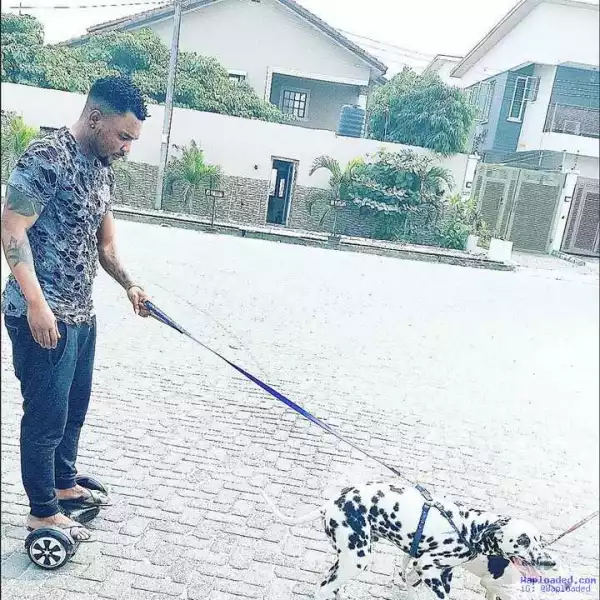 Oristefemi Strolls With His Dog On A Hover Board